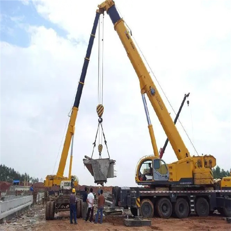 鹤壁小型吊机出租电话|厂房设备吊装方案|24小时服务覆盖